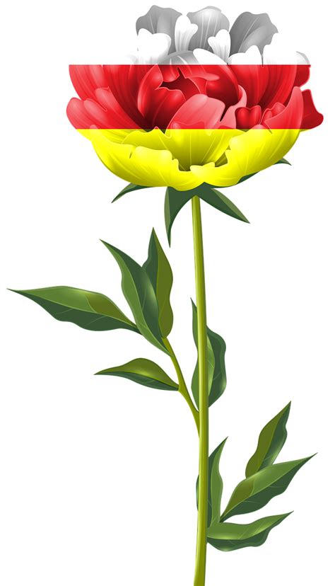 Explore 204+ Free Peonies Illustrations: Download Now .